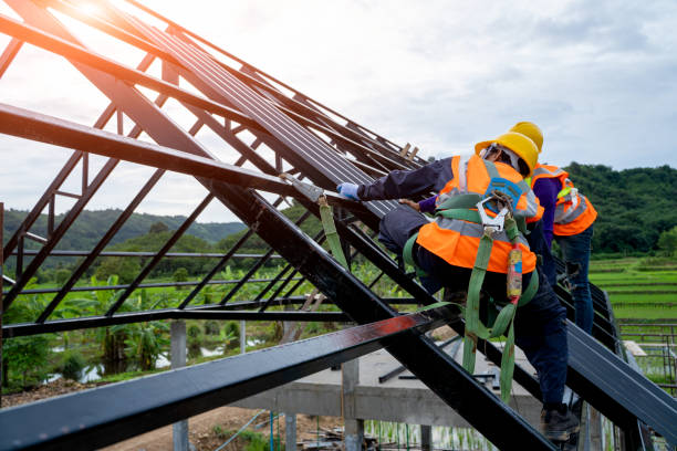 Best Metal Roofing Contractor  in Hooper, NE