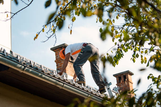 Best Roof Gutter Cleaning  in Hooper, NE