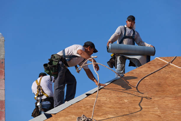 Best Gutter Installation and Roofing  in Hooper, NE