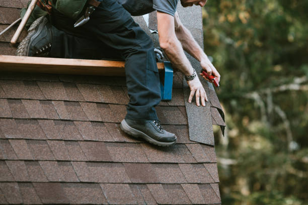 Roof Gutter Cleaning in Hooper, NE